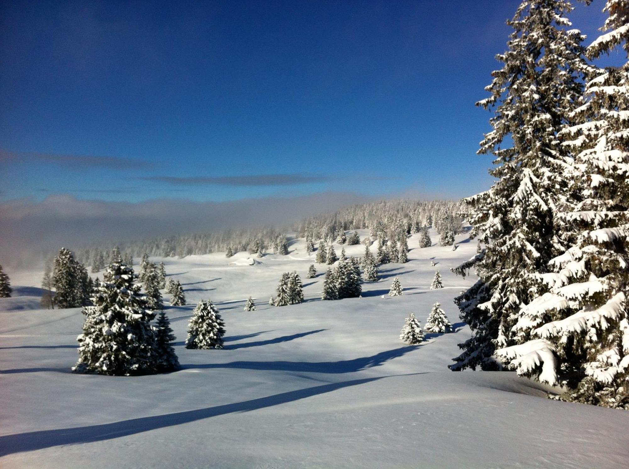 Grand Chalet D'Architecte Villa Saint Cergue Bagian luar foto