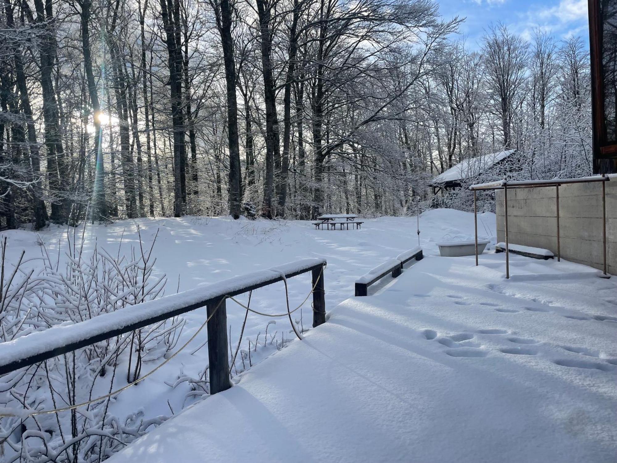 Grand Chalet D'Architecte Villa Saint Cergue Bagian luar foto